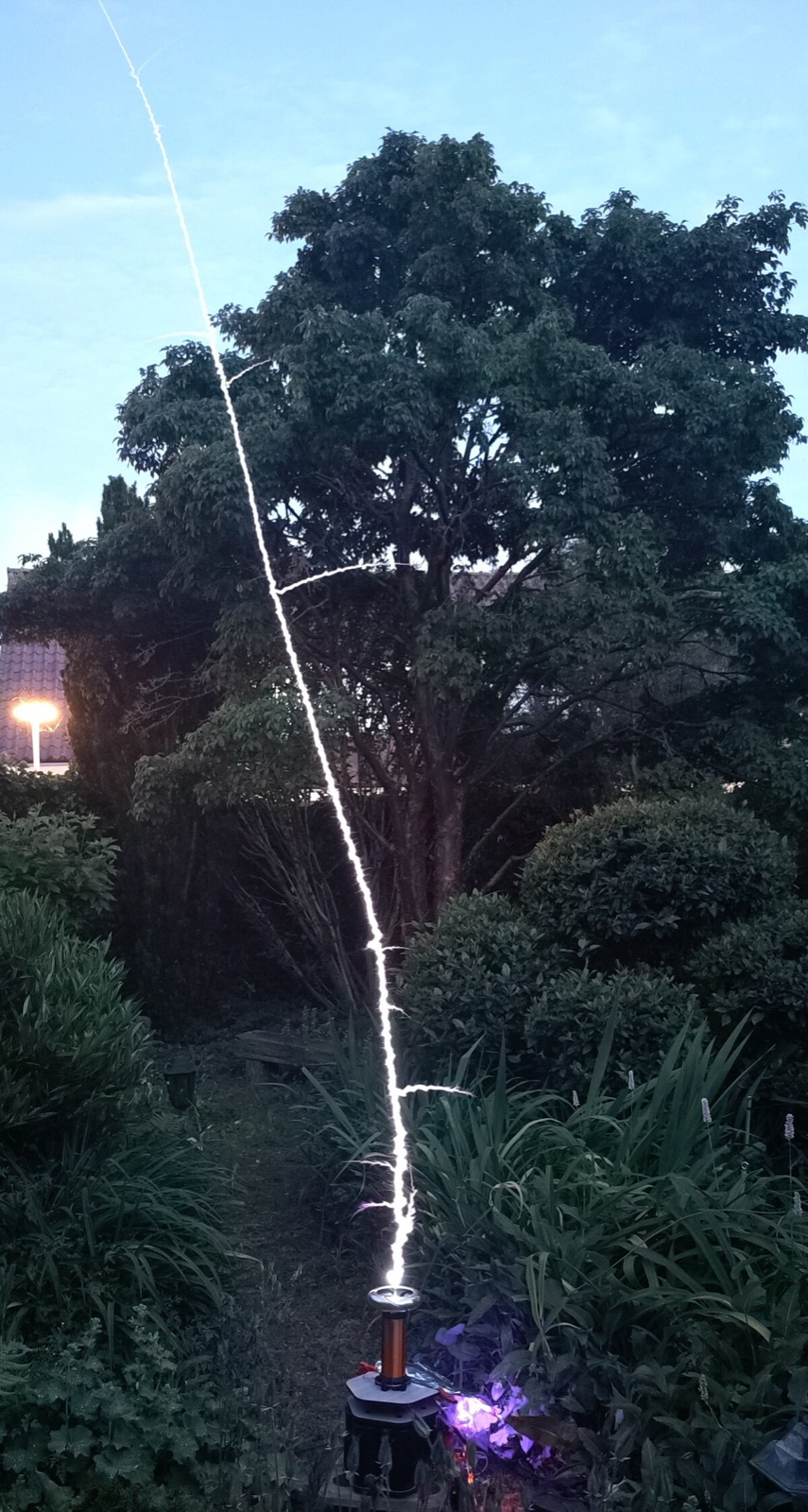 a single arc into the trees, daylight
