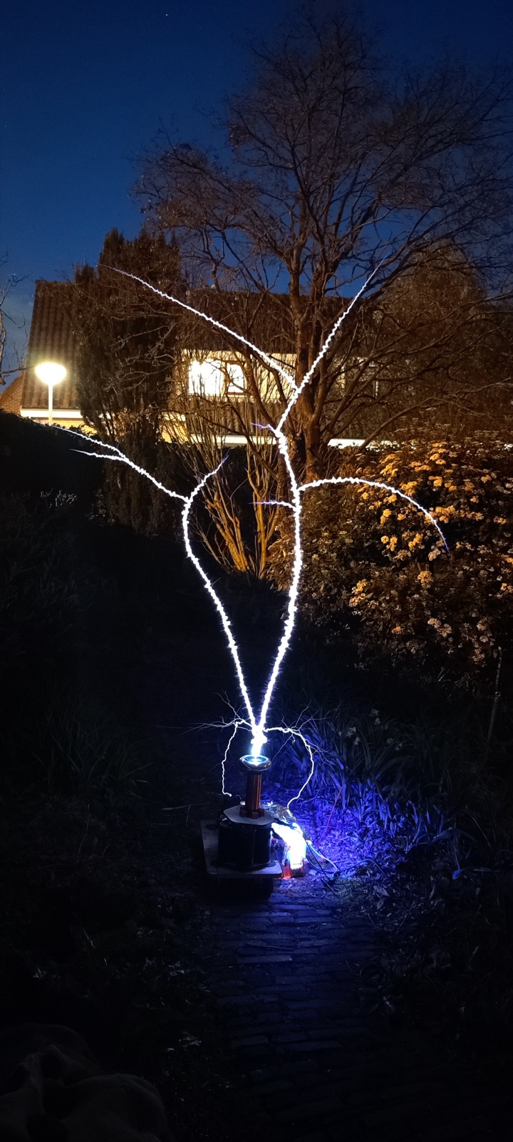 into a tree at night